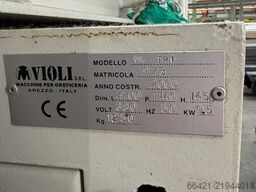 VIOLI VM TRI 10