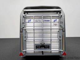 Ifor Williams TA5|10x6|DOPPELSTOCK 311X156X183CM