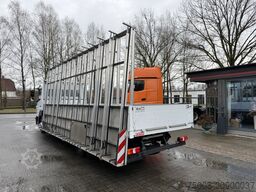 Mercedes-Benz Atego 818 Hegla Glasreff