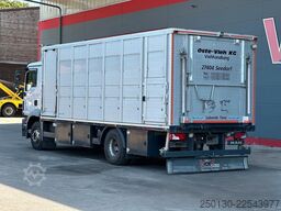 MAN TGM 15.290 EU6 4x2 LL Menke Viehtransporter *TOP