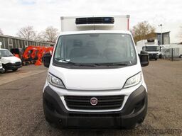 FIAT Ducato 130 *Carrier Tiefkühler*Euro6*