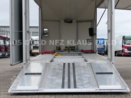  Moetefindt Autotransporter Kofferaufbau