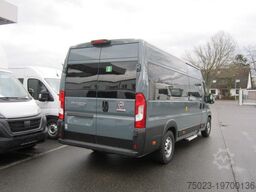 Fiat Minibus 16+ 1 Sitzer