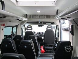 Fiat Minibus 16+ 1 Sitzer