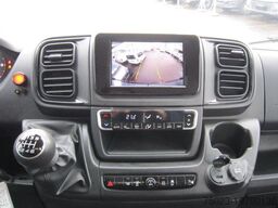 Fiat Minibus 16+ 1 Sitzer