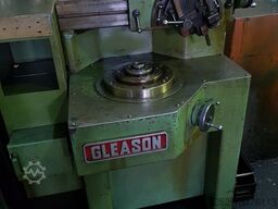 Gleason 13A 19 137 724 726 519 528 650