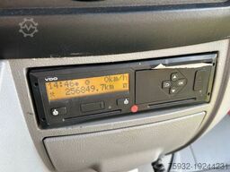 MERCEDES-BENZ Sprinter 519 ToJo - Rampe - Schienensystem