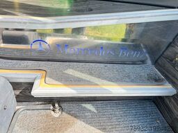 MERCEDES-BENZ Sprinter 519 ToJo - Rampe - Schienensystem