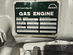 MAN E3262E302 Woodgas
