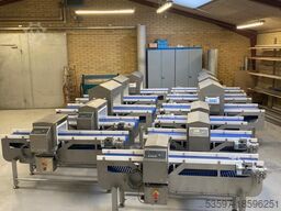 SESOTEC Metalldetektor