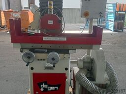 Willy Degen FSM 300