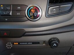 FORD Transit Kasten 350 L4H3 Trend 170PS