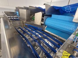 Multihead Weigher & Pouch Bagging Line