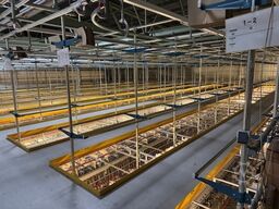 SSI Schäfer Rundrohrhängebahn