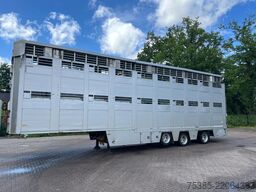Berdex Livestock Type 2