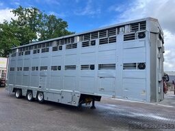 Berdex Livestock Type 2