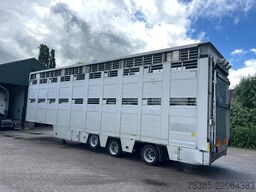 Berdex Livestock Type 2