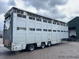 Berdex Livestock Type 2