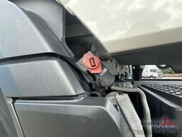 Scania R 460 A4x2NA DIFF-L RETARDER PARK AIRCO VECTO 2