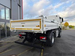 MAN TGS 18.440 4x2 BL MEILLER Krankipper Palfinger