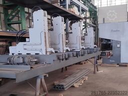 Primultini 1300