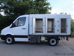 MERCEDES-BENZ 310cdi ColdCar -33°C, 3+3 Euro 5b+