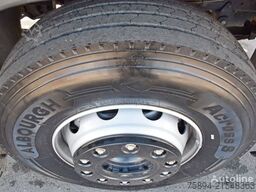 SCANIA P 250* Kipper 4,75m * HMF 635 K2 + FUNK * TOP