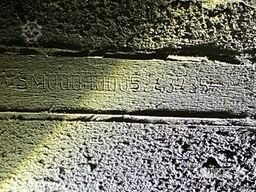 Schmitz Cargobull Tiefkühler Fleischhang