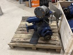 BORNEMANN 