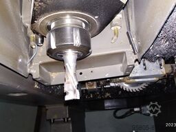 Morbidelli Author 503