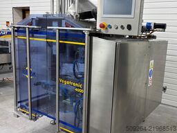 Ilapak Vegatronic 4000