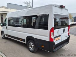 Opel Movano Bürgerbus Fiat Peugeot
