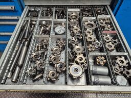 Droop+Rein T2540R50E