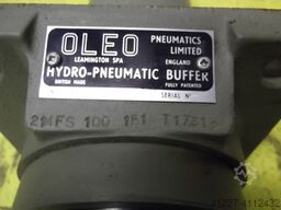 Oleo 21-M FS-100