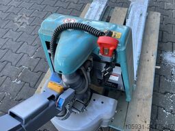 *Sonstige Ameise SMP113