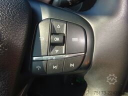 FORD Transit Kasten 350 L3H3 Trend 130PS HA Express