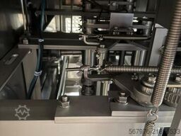 Tsunezawa Group TAF-BG Filleting Machine
