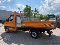 MERCEDES-BENZ Sprinter 316 CDI /4x4 Allrad/Kipper/AHK