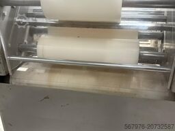 Damak / Bertuetti Bread Plant