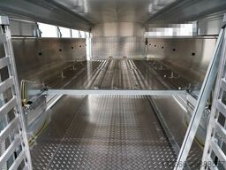 Ifor Williams TA5 HD | 12x6 | DOPPELSTOCK 372X156X183CM VIEHANHÄNGER | 2X LÜFTUNG