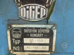 DIGEP SD 100   (2282)