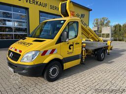 Ruthmann TB 220 ( 10209 )