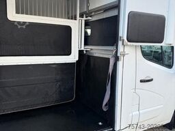 RENAULT Master STX Haras 3 sitzer