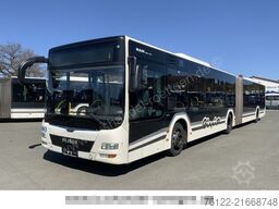 MAN A 23 Lions City G / O 530 G Citaro