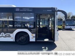 MAN A 23 Lions City G / O 530 G Citaro