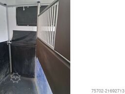 Renault Master 1-2 Pferde Hengsttrennung