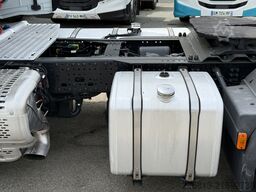 Iveco SWAY 490