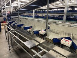 UNITEC Cherry_Vision Unical 200 OC 1C8+1 11V174