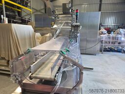 G. Mondini S.p.a. SF 90 Inline Sealing Machine