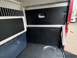 RENAULT MASTER AKX NEW MODELL 2025 5 Sitzer Haras ex. L